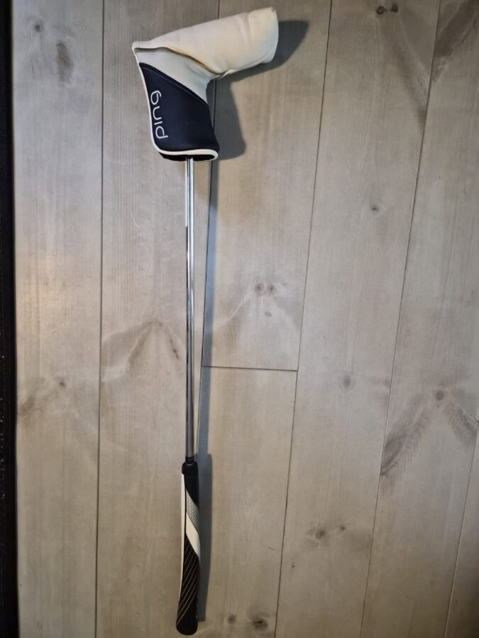 Uusi Ping Petteri (31")