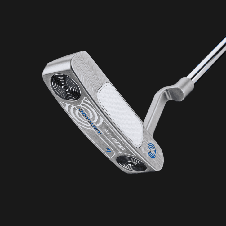 Odyssey - AI-ONE SILVER #1 CH - Putteri
