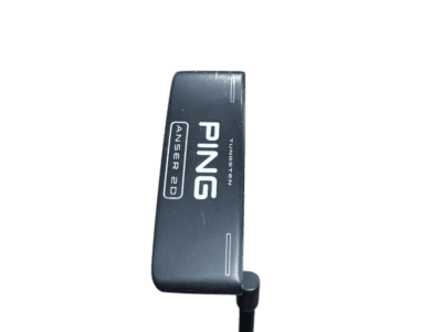 Ping Anser 2D