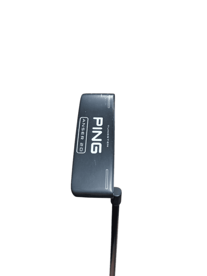 Ping Anser 2D